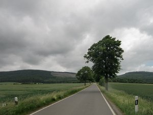 Devese 2010 042